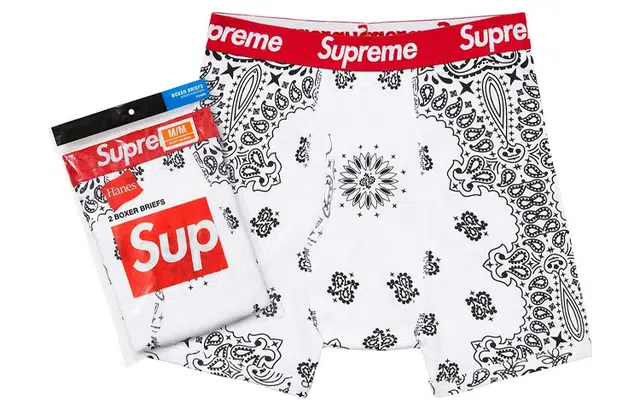 Supreme FW22 Week 1 x Hanes Boxer Briefs 12