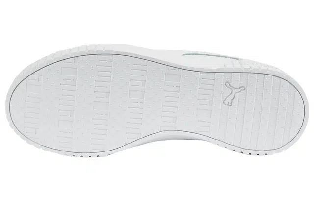 PUMA Carina