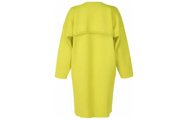 ISSEY MIYAKE FW22
