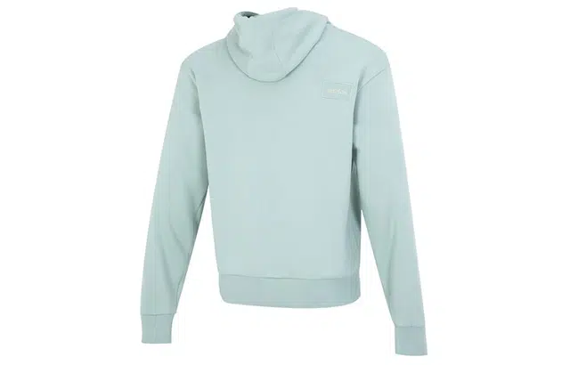 adidas originals Adicolor Hoody Logo
