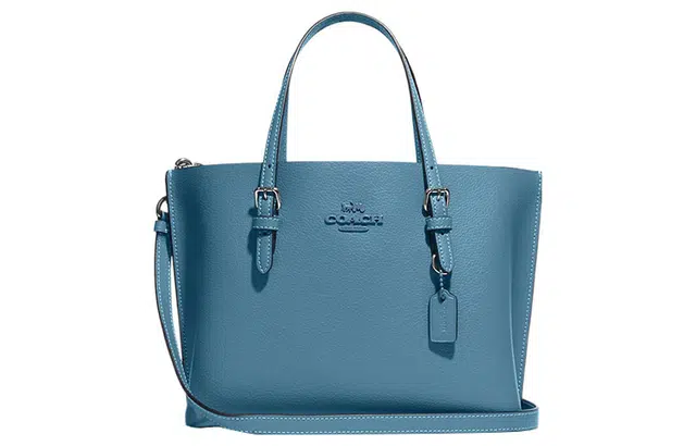 COACH Mollie 25 Logo Tote 25