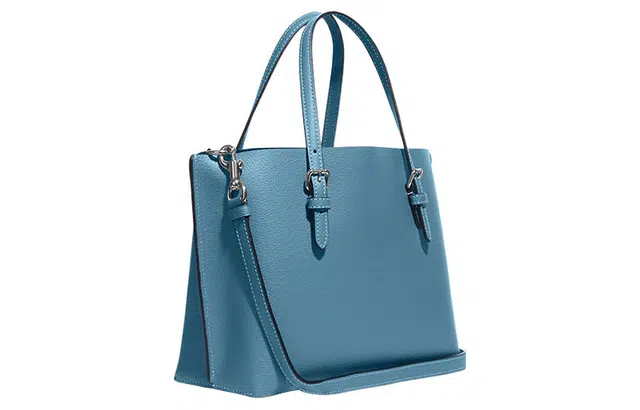 COACH Mollie 25 Logo Tote 25