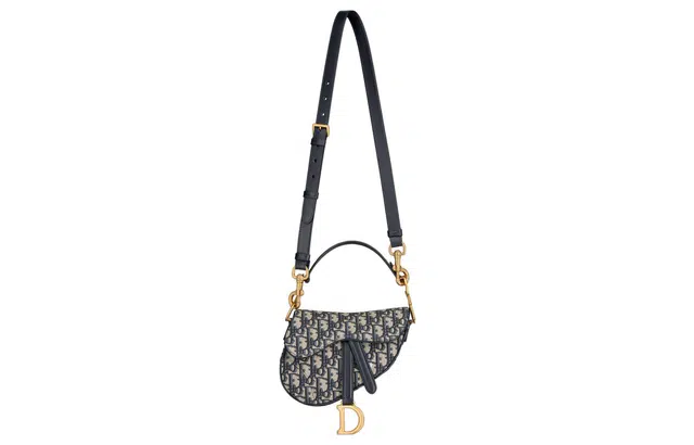 DIOR Saddle