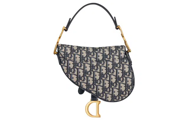 DIOR Saddle
