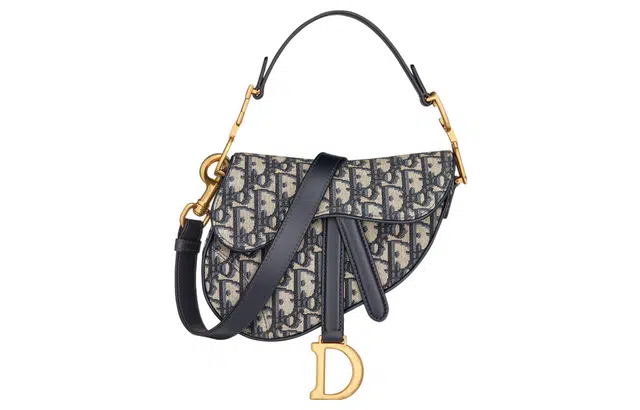DIOR Saddle
