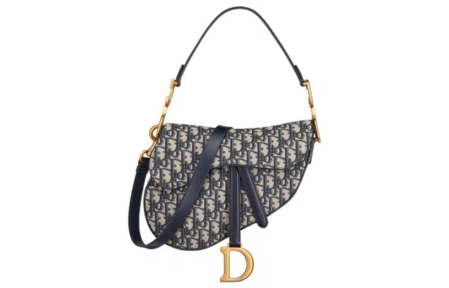 DIOR Saddle