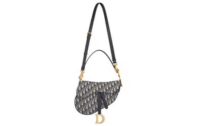 DIOR Saddle
