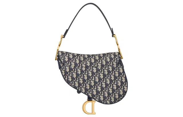 DIOR Saddle