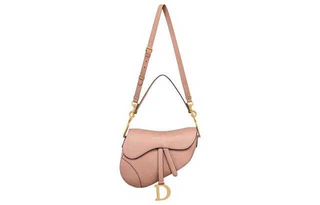Dior Saddle Bag