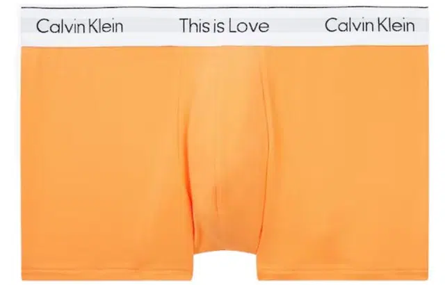 CKCalvin Klein SS22 Logo