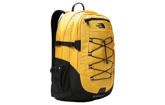 THE NORTH FACE Logo