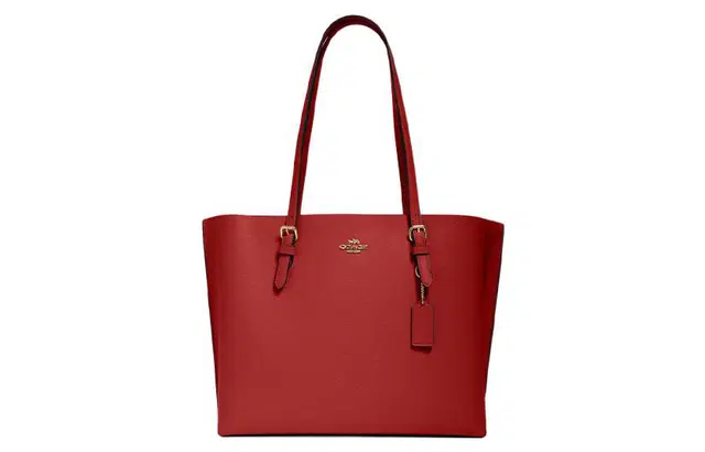 COACH Mollie 34 Tote
