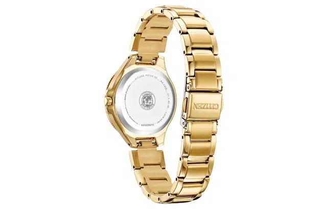 CITIZEN 50 PVD