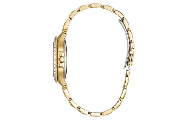 CITIZEN 50 PVD