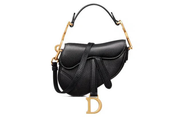 DIOR Saddle