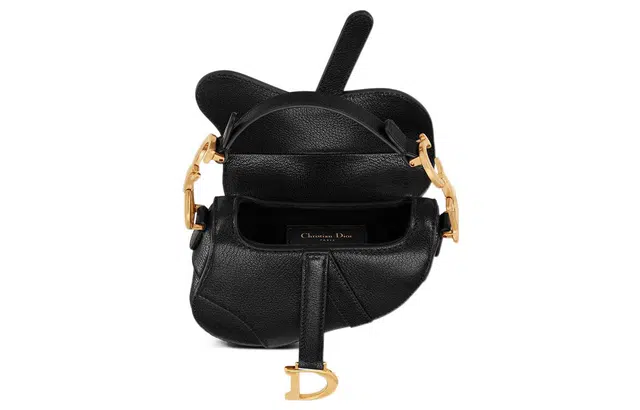 DIOR Saddle