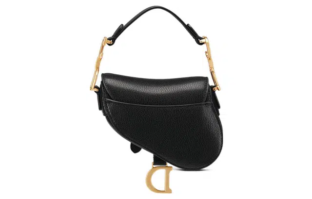 DIOR Saddle