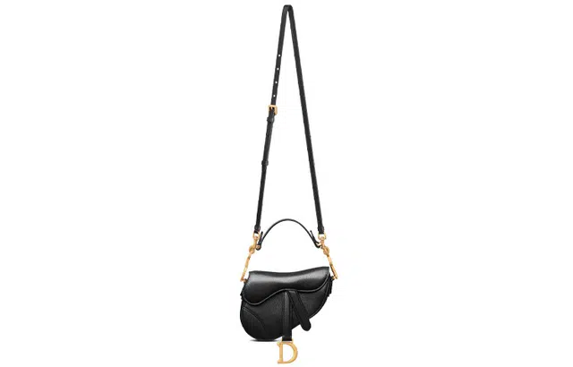 DIOR Saddle