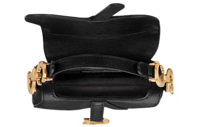 DIOR Saddle