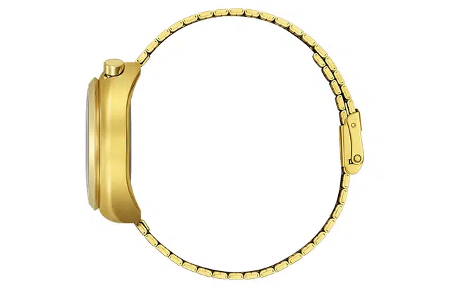 CITIZEN TEMP AN3662-51W