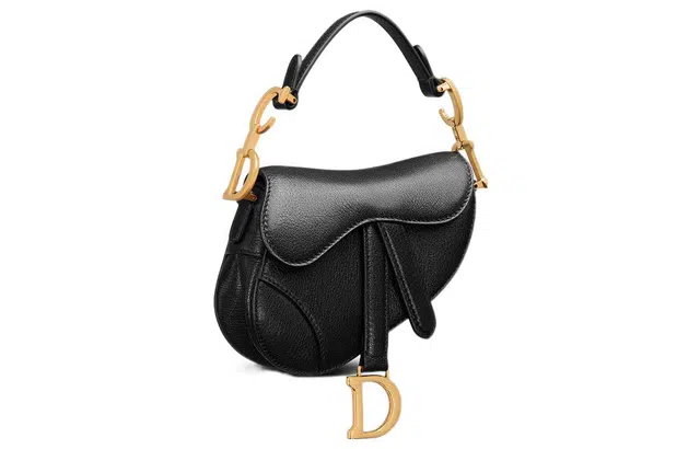 DIOR Saddle