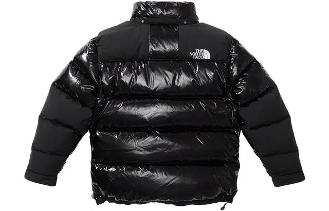 Supreme FW22 Week 7 x The North Face 700-Fill Down Parka Logo