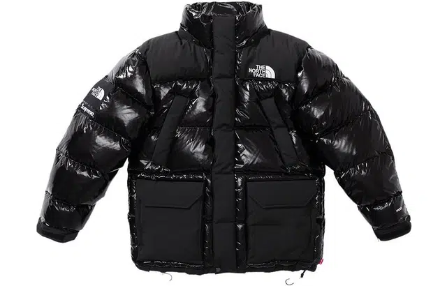 Supreme FW22 Week 7 x The North Face 700-Fill Down Parka Logo