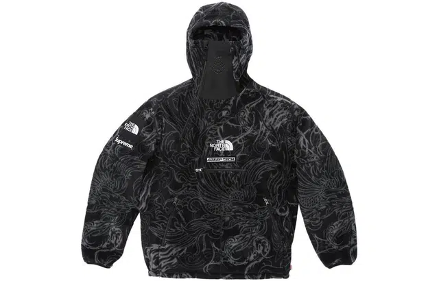 Supreme x the north face TNF FW22 logo