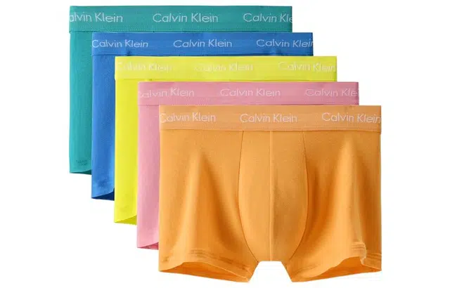 CKCalvin Klein SS22 15