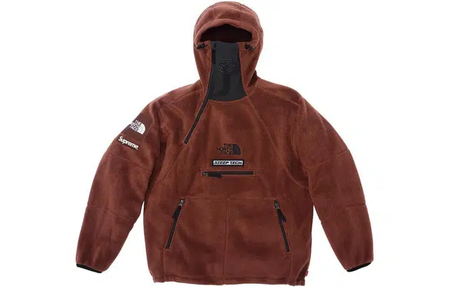 Supreme x the north face TNF FW22 logo