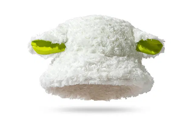 PIARA