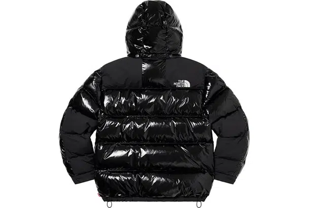 Supreme FW22 Week 7 x The North Face 700-Fill Down Parka Logo