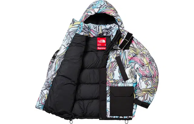 Supreme FW22 Week 7 x The North Face 700-Fill Down Parka Logo