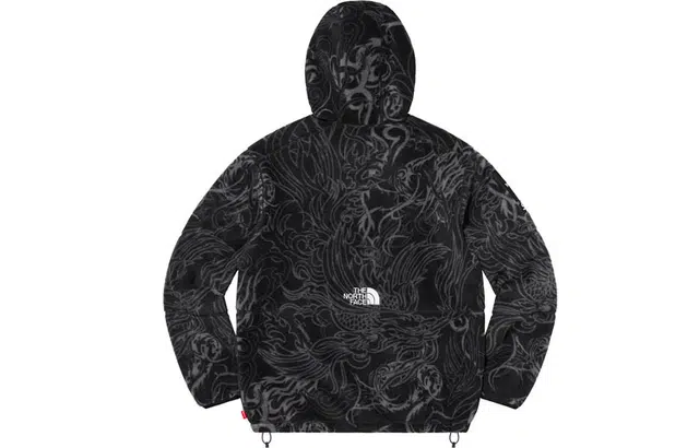 Supreme x the north face TNF FW22 logo