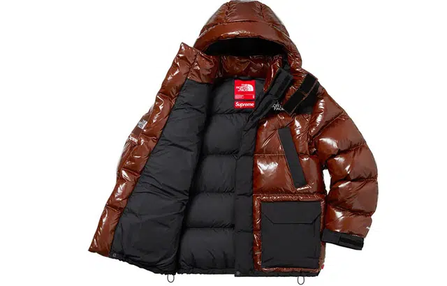 Supreme FW22 Week 7 x The North Face 700-Fill Down Parka Logo