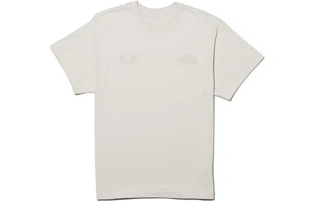 THE NORTH FACE x KAWS T