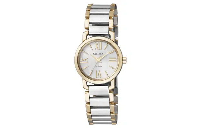CITIZEN 23mm EP5884-57A