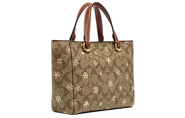 COACH Alice 21