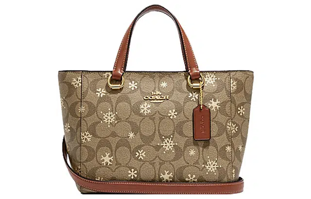 COACH Alice 21
