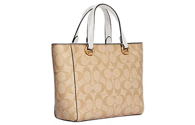 COACH Alice 21