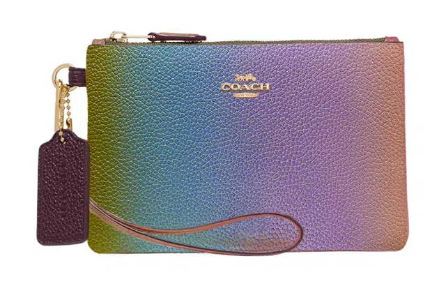 COACH Pouch 12