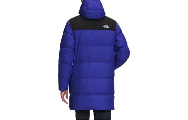 THE NORTH FACE FW22 Logo