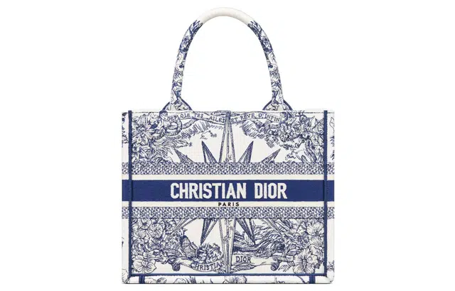 DIOR BookTote Tote