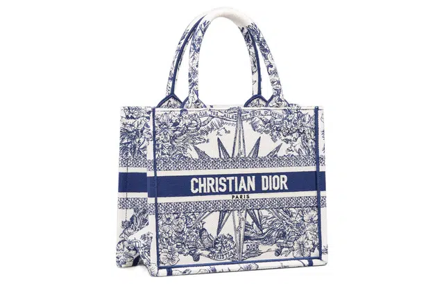DIOR BookTote Tote