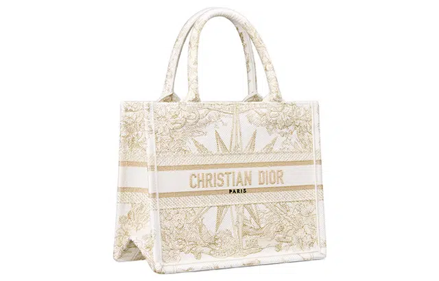 DIOR BookTote Tote