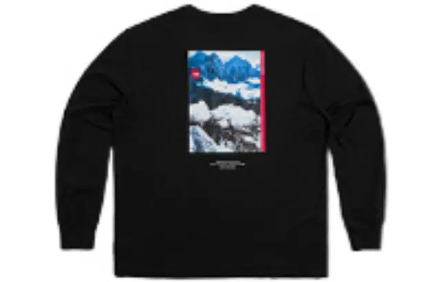 THE NORTH FACE 1992 30 LogoT