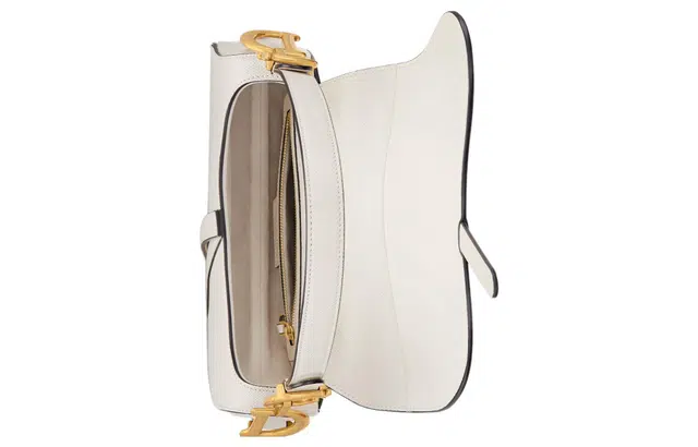 DIOR Saddle DCD