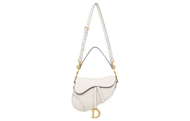 DIOR Saddle DCD