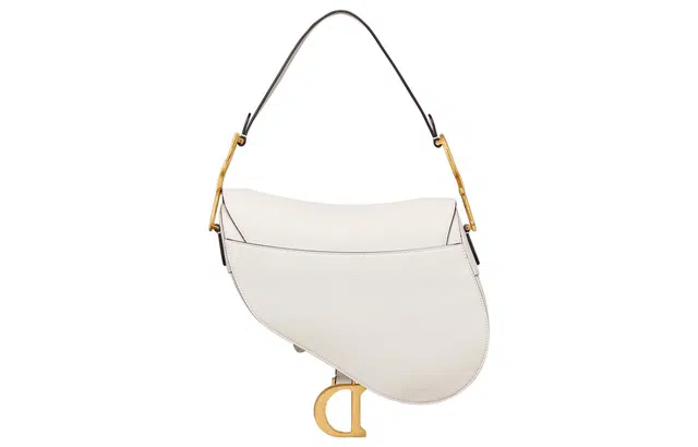 DIOR Saddle DCD