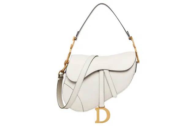 DIOR Saddle DCD